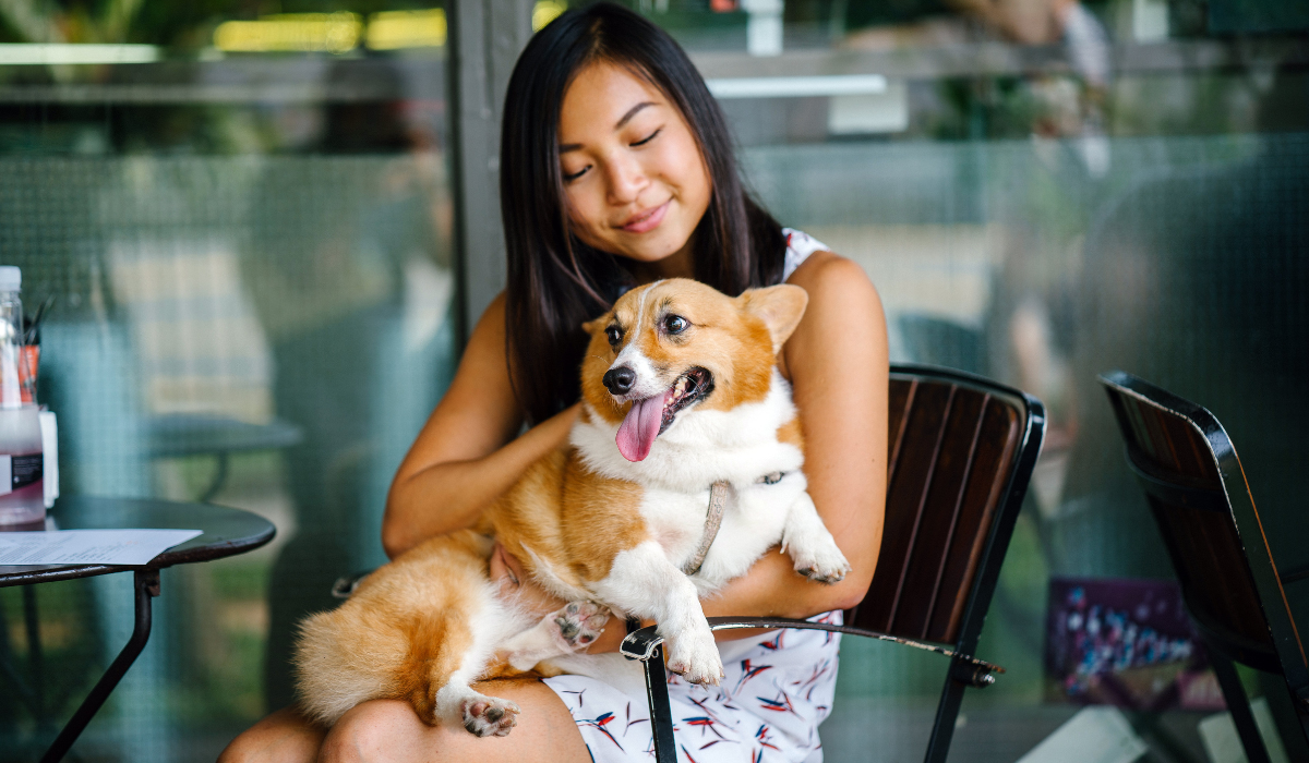 Enjoy Delicious Meals with Your Furry Friends at These 10 Pet-Friendly Restaurants