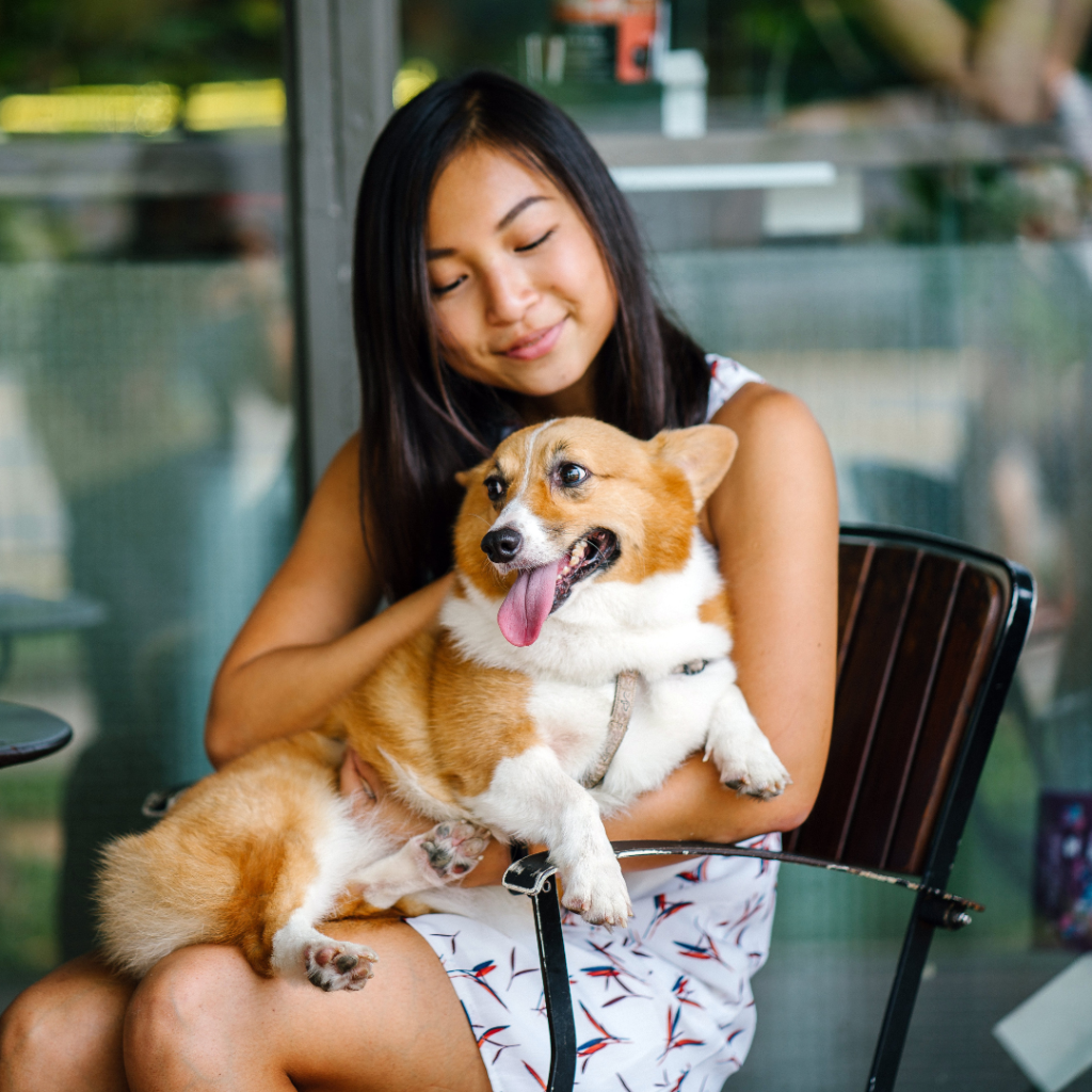 pet-friendly restaurants