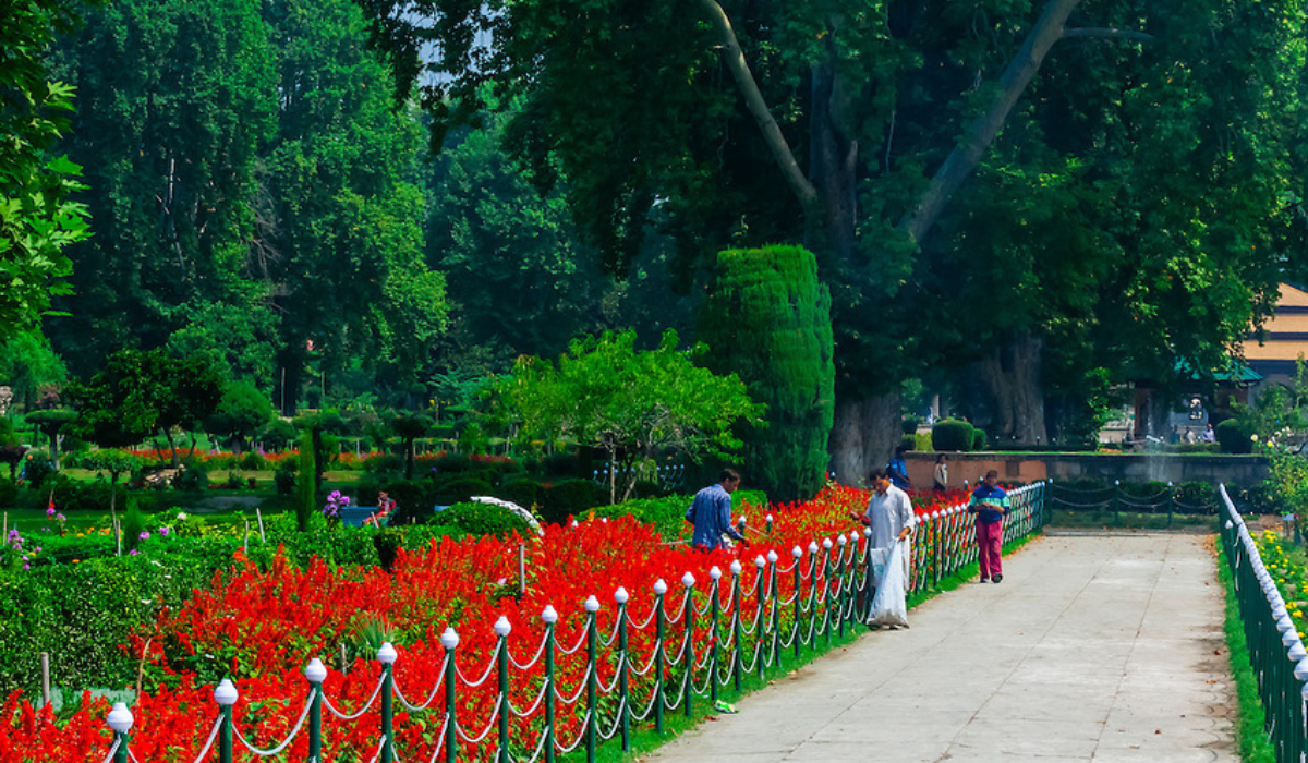 10 Best Parks and Gardens in Mumbai for Nature Lovers