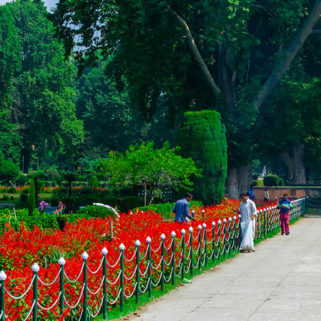Best Parks and Gardens in Mumbai for Nature Lovers