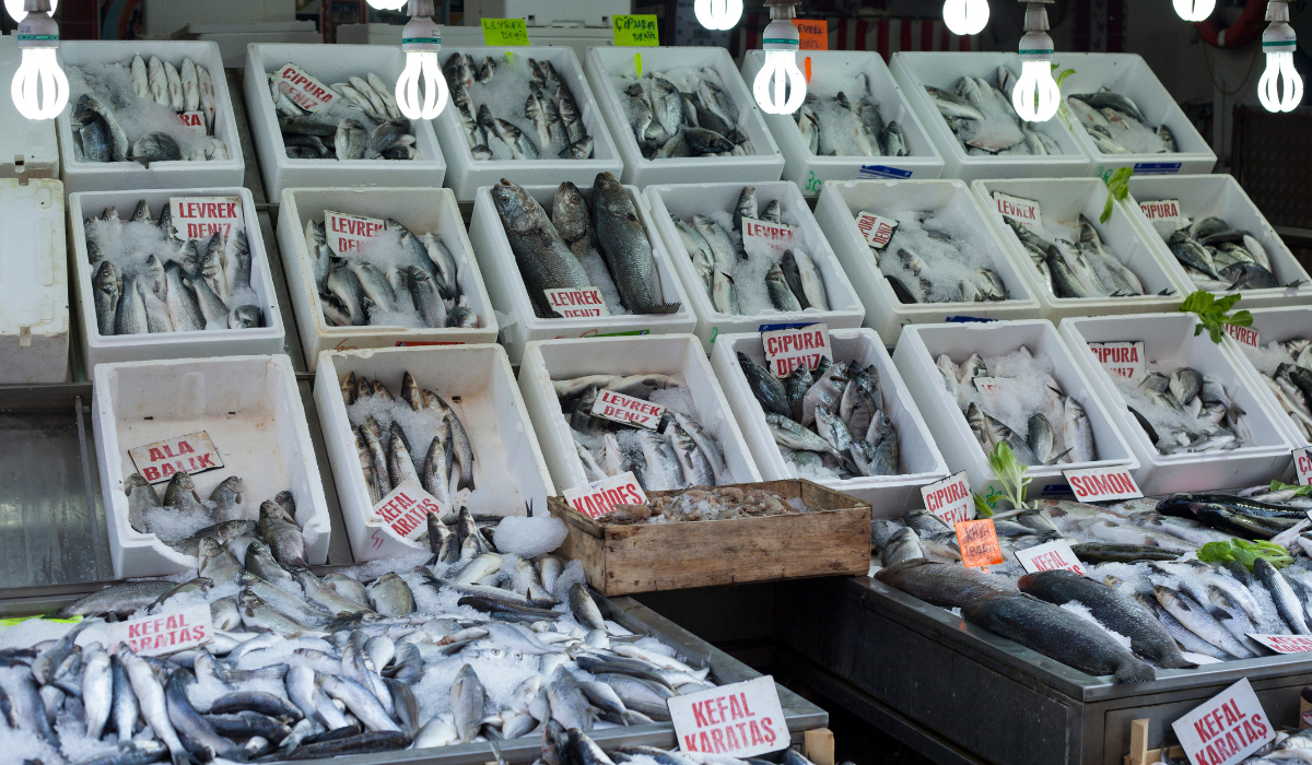 Discover the Top 12 Locations in Delhi to Find the Freshest and Highest Quality Fish Market.