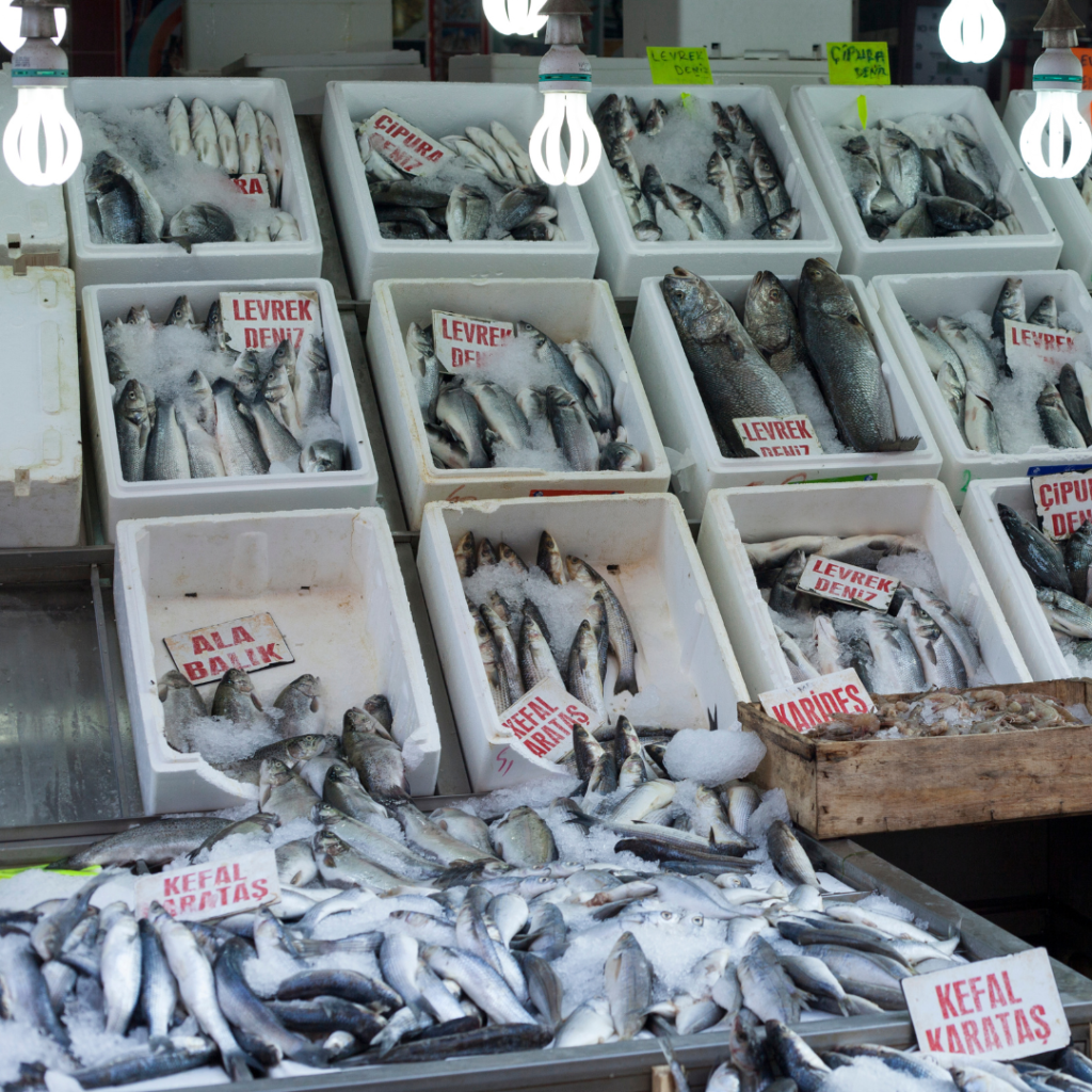 Fresh Quality Fish