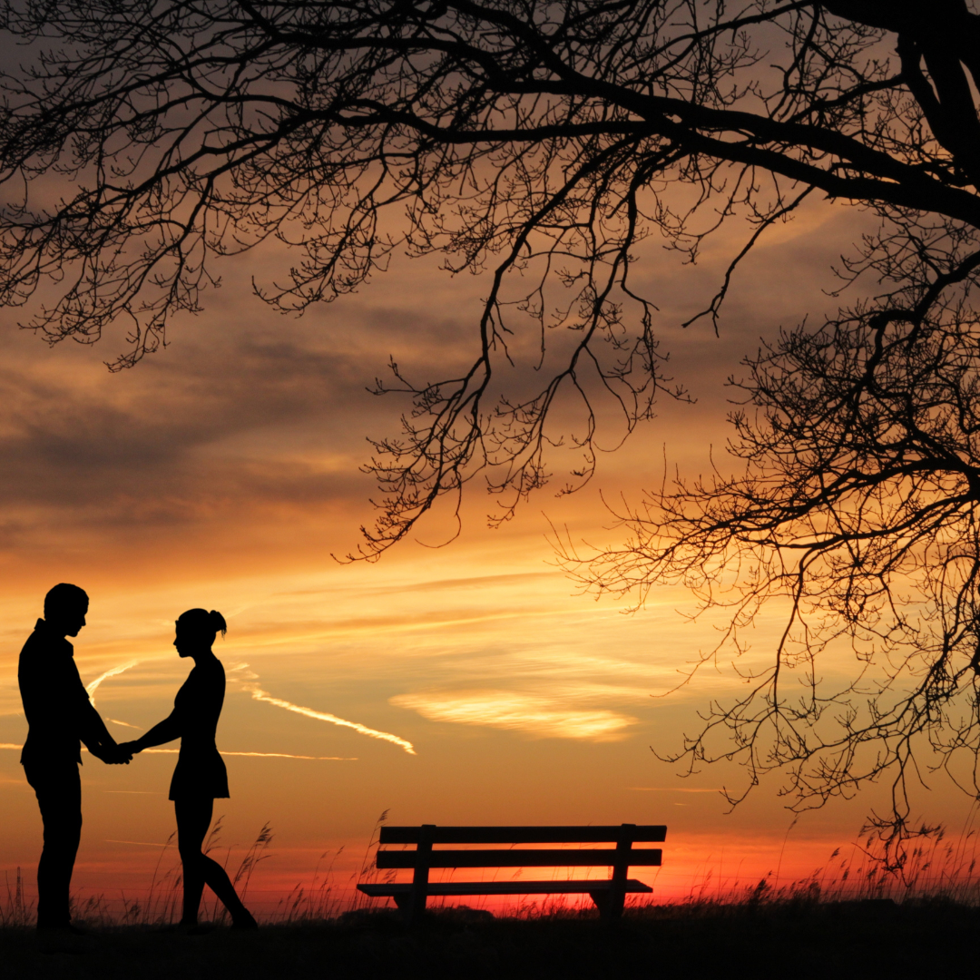 10 Best Places for Couple In Kerala For Honeymoon