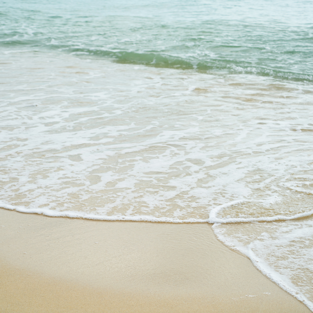 Beaches to Visit Near Bangalore for a Relaxing Getaway