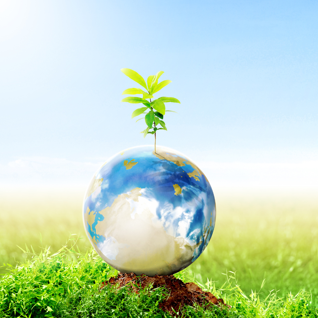 Earth Day 2023: 9 Eco-Friendly Activities You Can Do Together as a Family