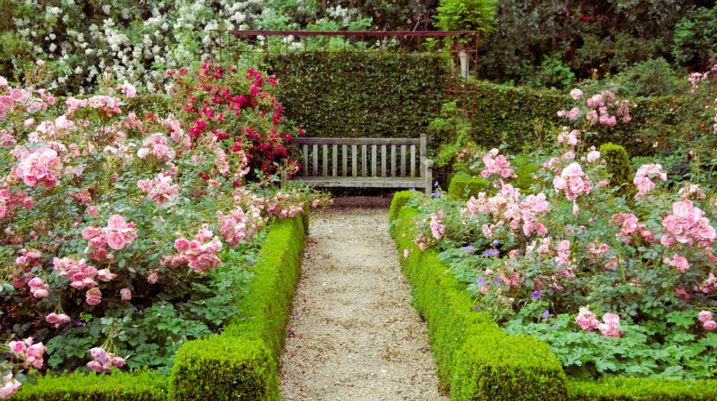 Visit the Rose Garden