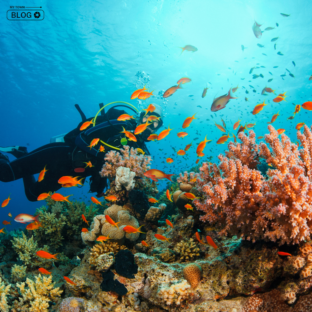 Introducing India’s Top 5 Affordable Scuba Diving Destinations