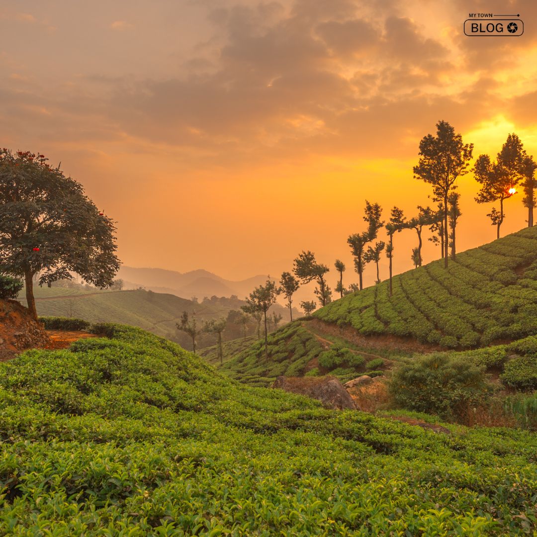 Budget-Friendly Relocation: Discover India’s Top 10 Affordable Cities