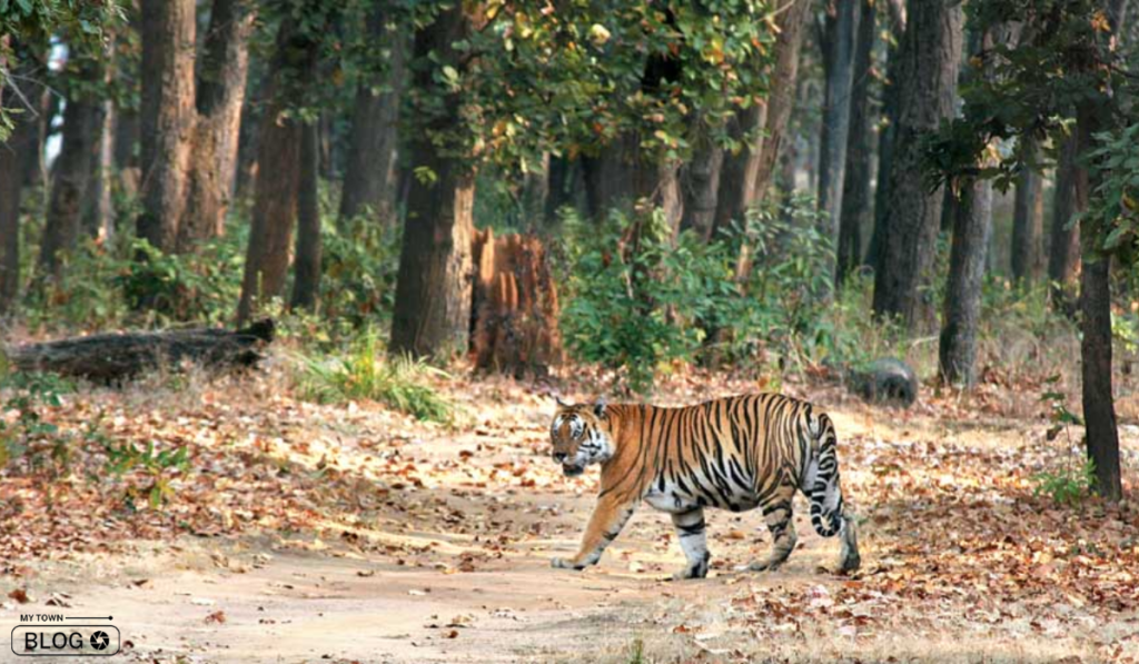 Tourist Destinations in Jharkhand