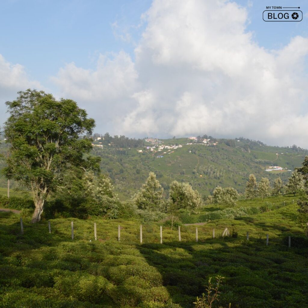 Top Hill Stations in Tamil Nadu