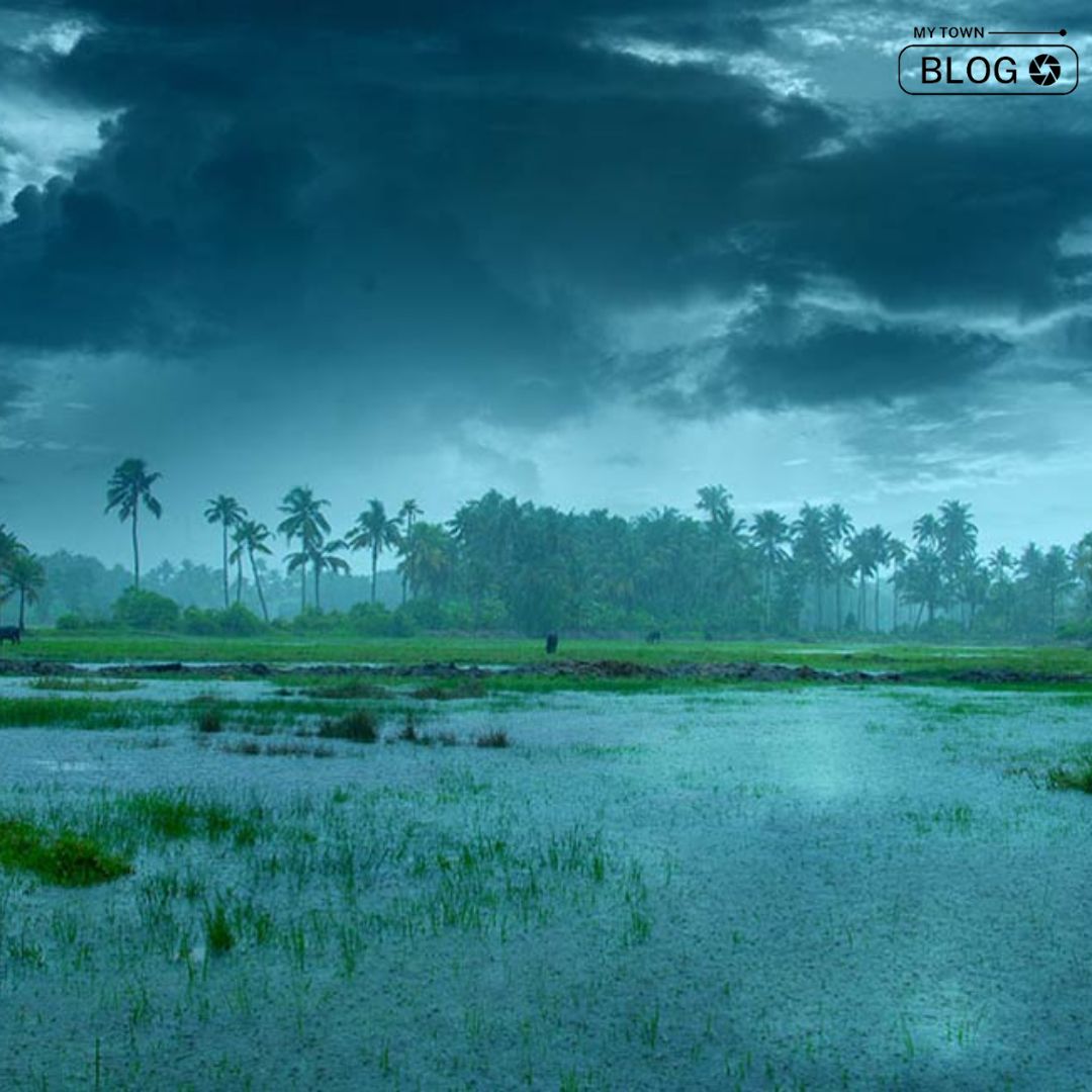 Exploring the Magic of Kerala’s Rainy Season