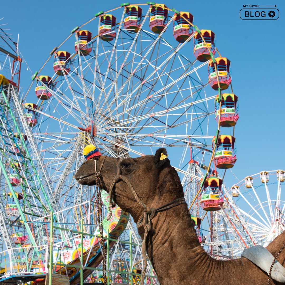 The Ultimate Guideness for Pushkar Fair 2023