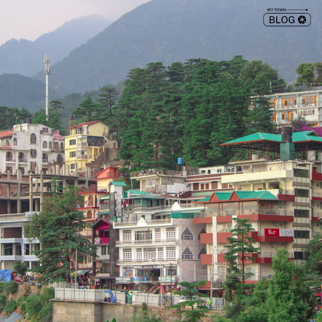 Cherished Shopping Paradises: Exploring the Illustrious Spots of McLeod Ganj
