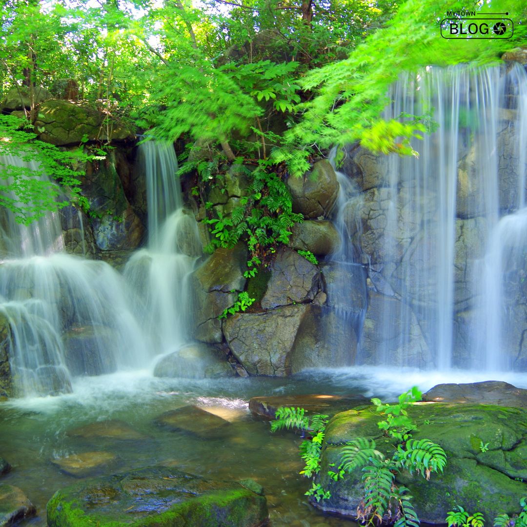 Discovering the Beauty of South India’s Top 10 Waterfalls
