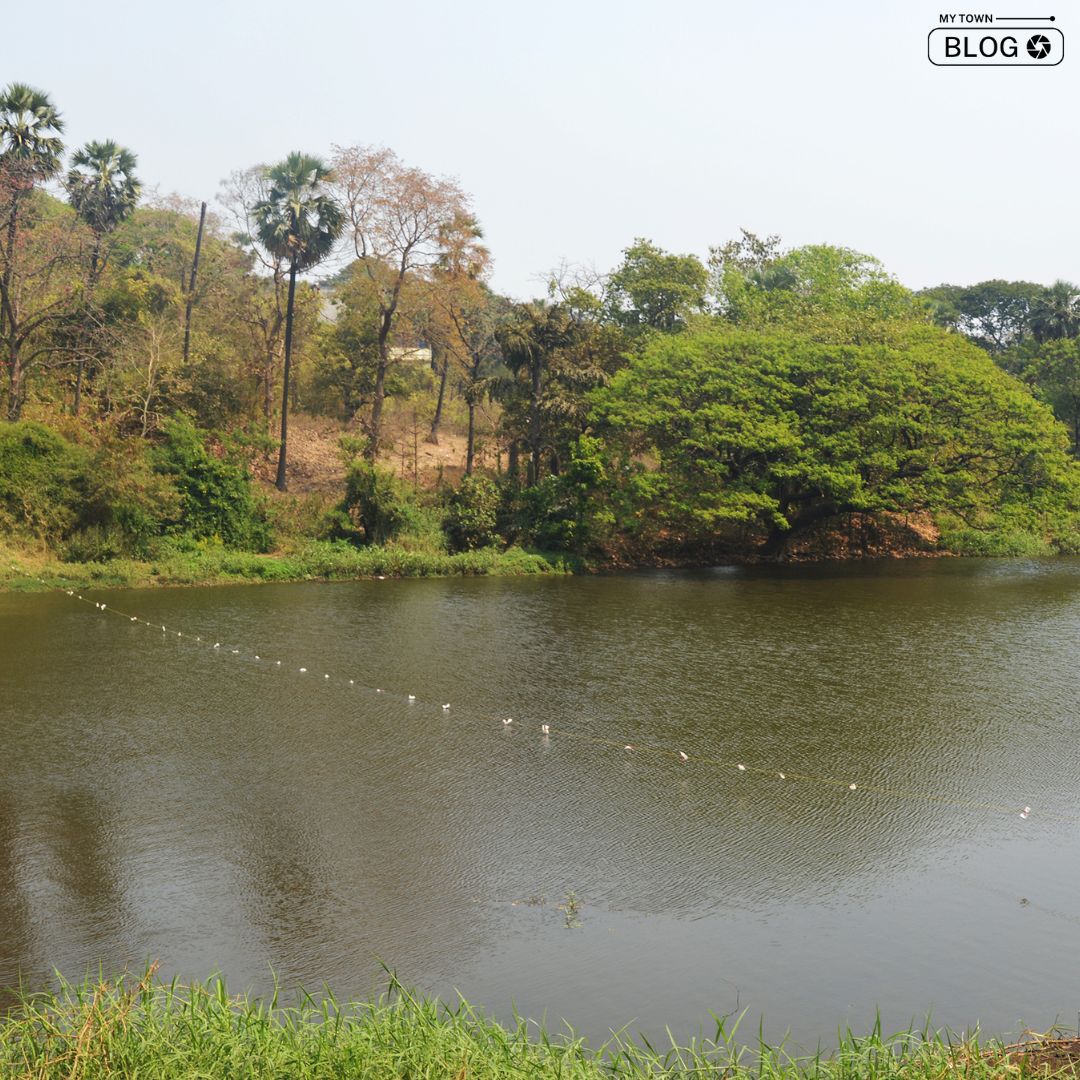 Explore the Beauty of Mumbai: Top 10 Serene Lakes