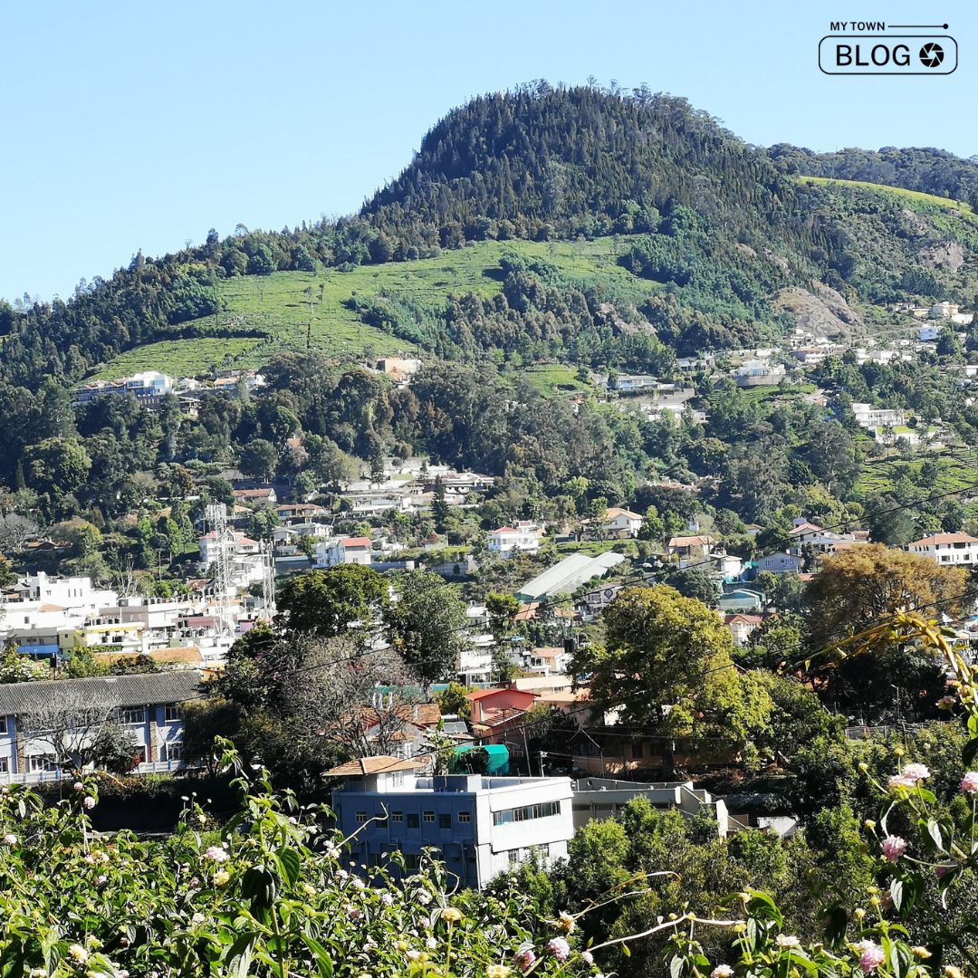 Unveiling the Charms: 10 Ultimate Destinations to Explore in Coonoor