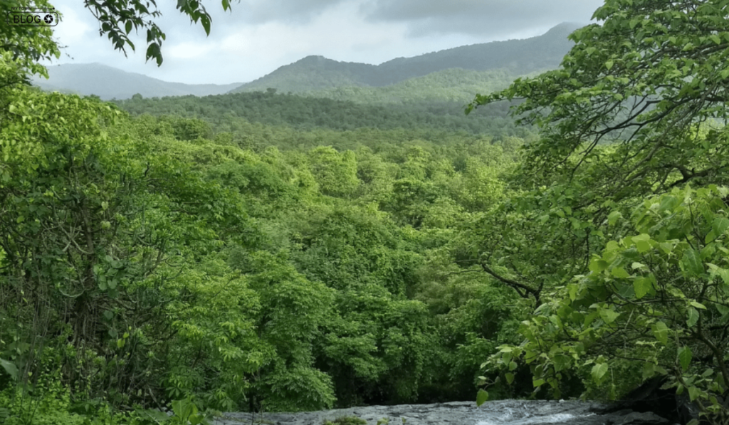 Night Camping Spots Near Mumbai