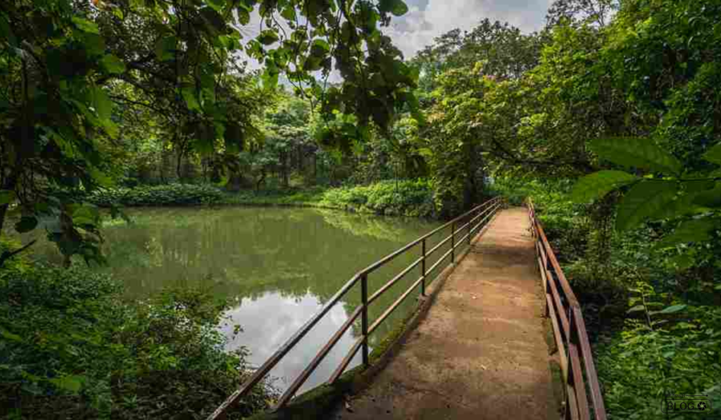 Night Camping Spots Near Mumbai