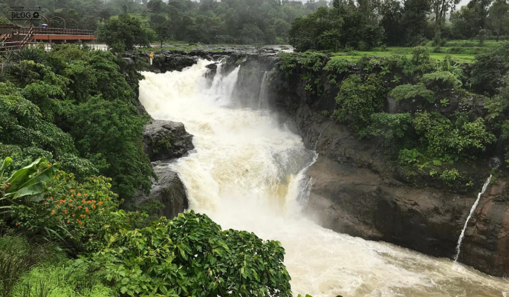Night Camping Spots Near Mumbai