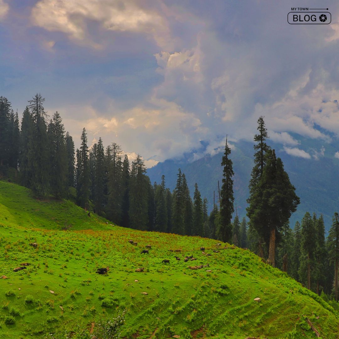 Himachal Pradesh Welcomes Tourists with Special Airfare Discounts from Shimla to Dharamshala