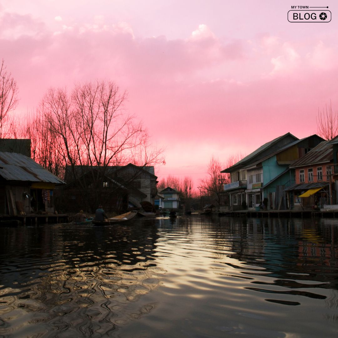 10 Serene Hotels and Resorts Near Dal Lake, Srinagar, for a Captivating Getaway