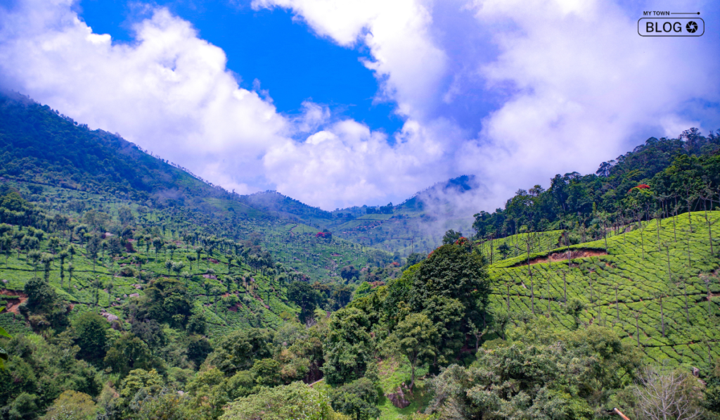 Best Romantic Places in South India