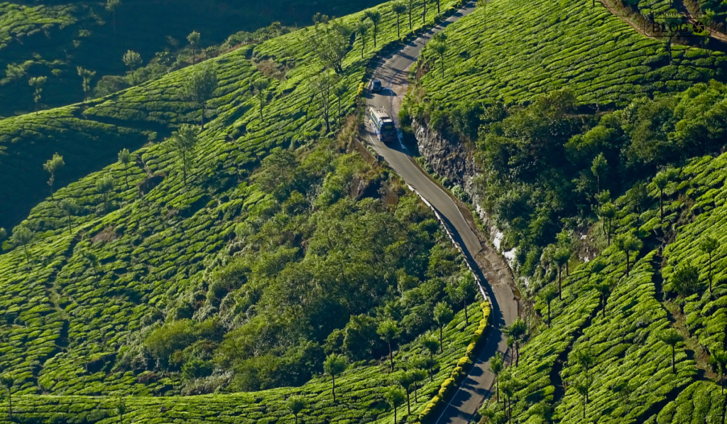 Best Romantic Places in South India