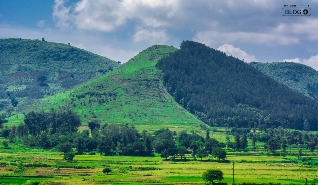 Best Romantic Places in South India