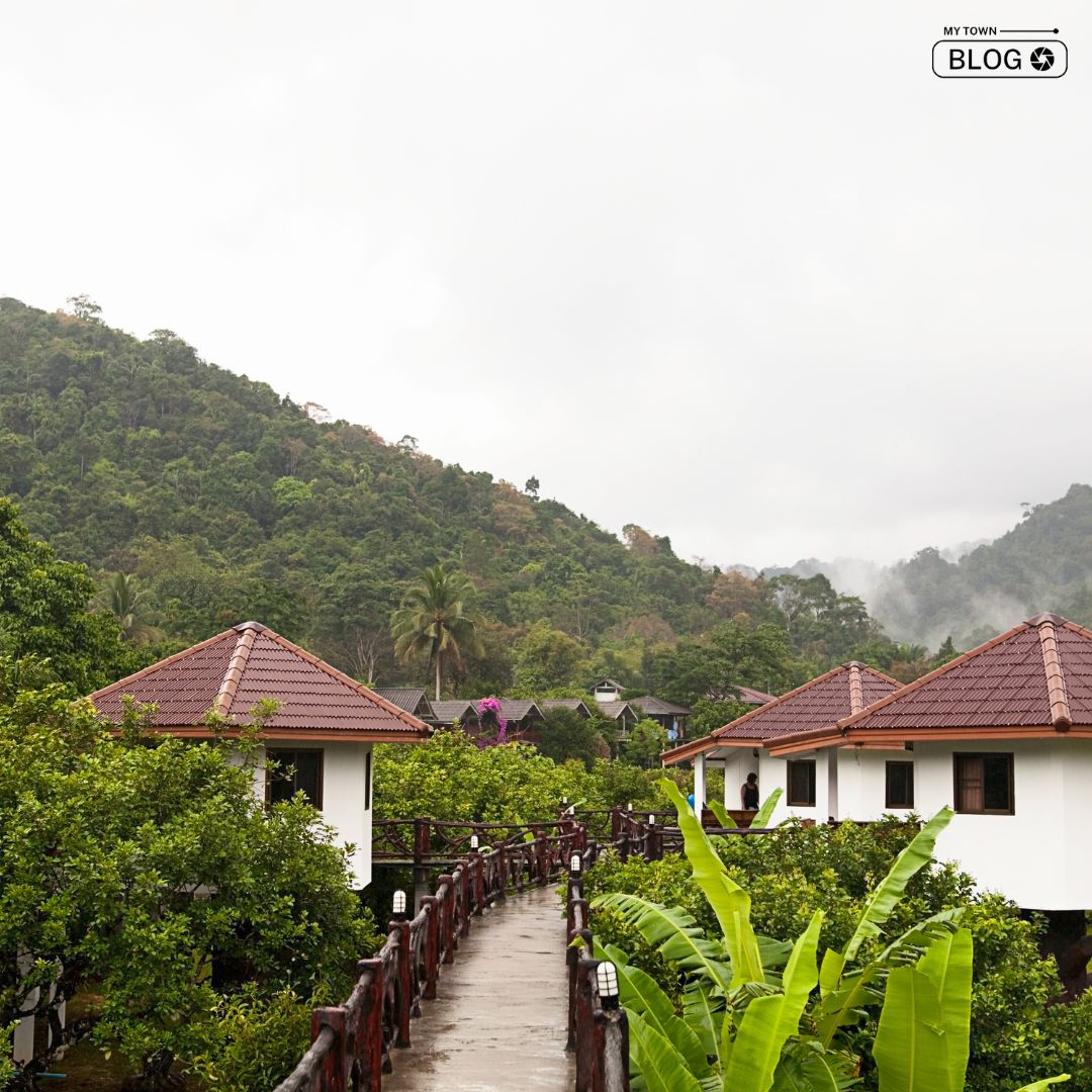 Wild Luxury: Discover the Top Resorts in Jim Corbett for a Memorable Getaway