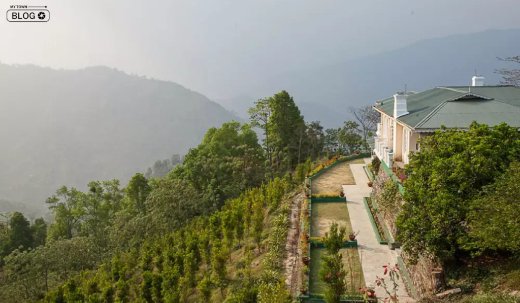 Best Tea Gardens in Darjeeling