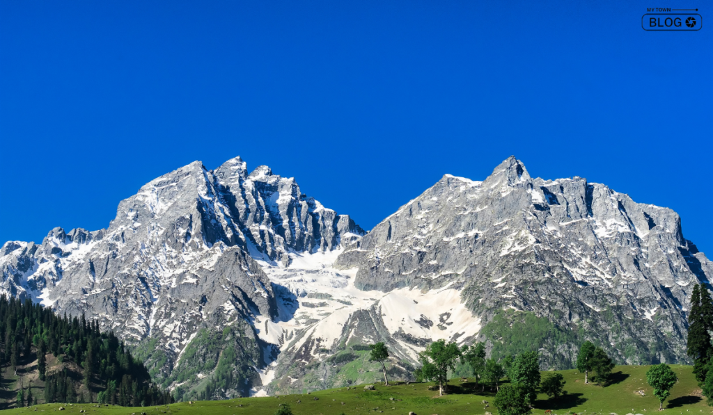 Thajiwas Glacier, Places To Visit in Sonamarg