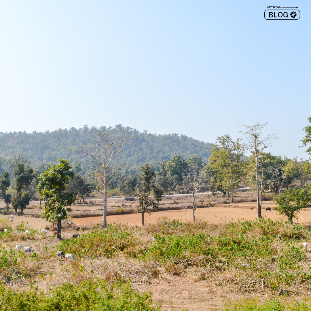 Clash Erupts Between Maoists and Paramilitary Forces in Chhattisgarh’s Sukma