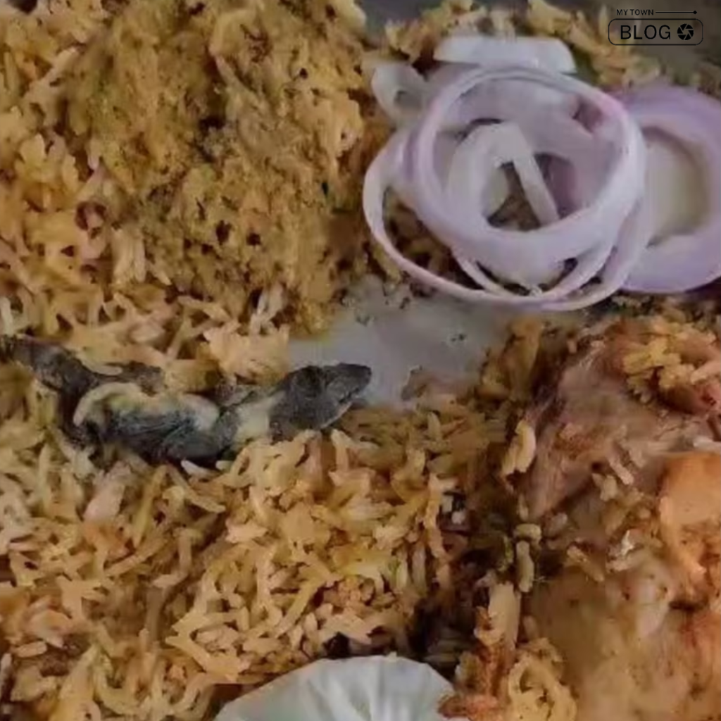 Dead Lizard in Biryani