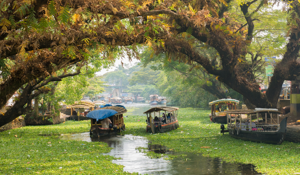 10 Awesome Places to Visit in Kerala with Your Family in 2024!
