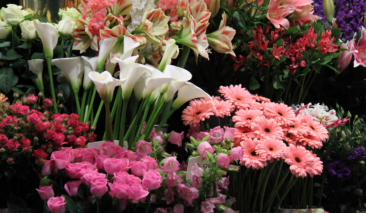 Discover the Top 10 Flower Shops in Chandigarh for Fresh Blossoms