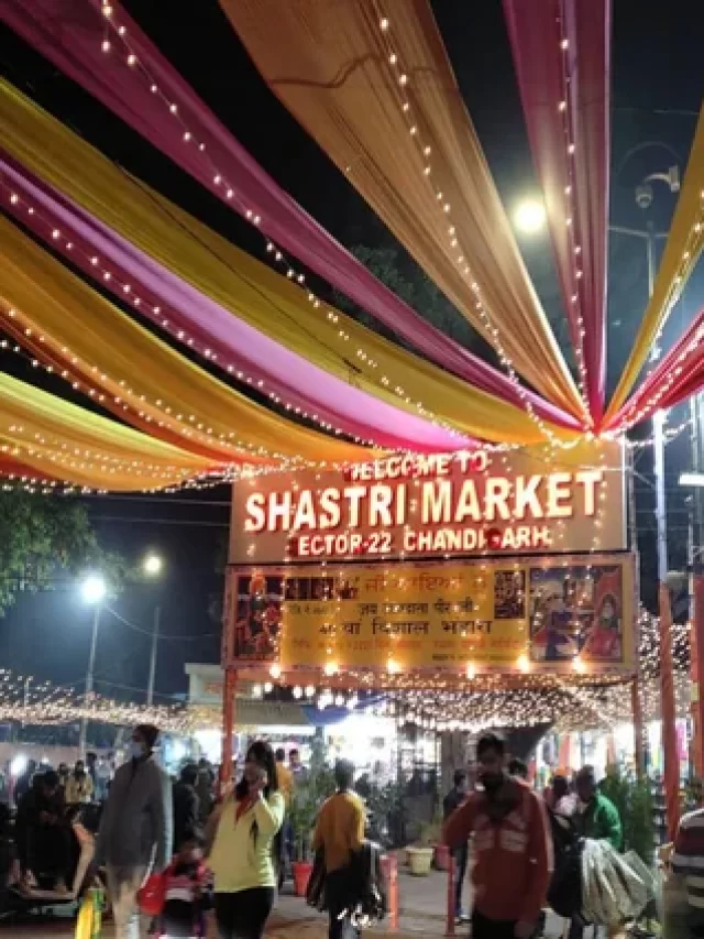 sector 22 chandigarh