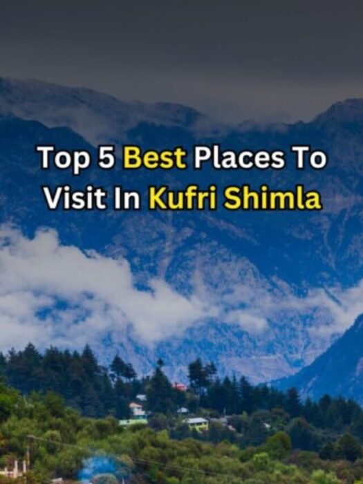 Top 5 Best Places To Visit In Kufri Shimla