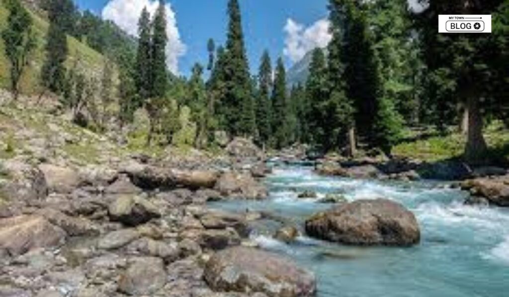 Pahalgam to Chandanwari Trek
