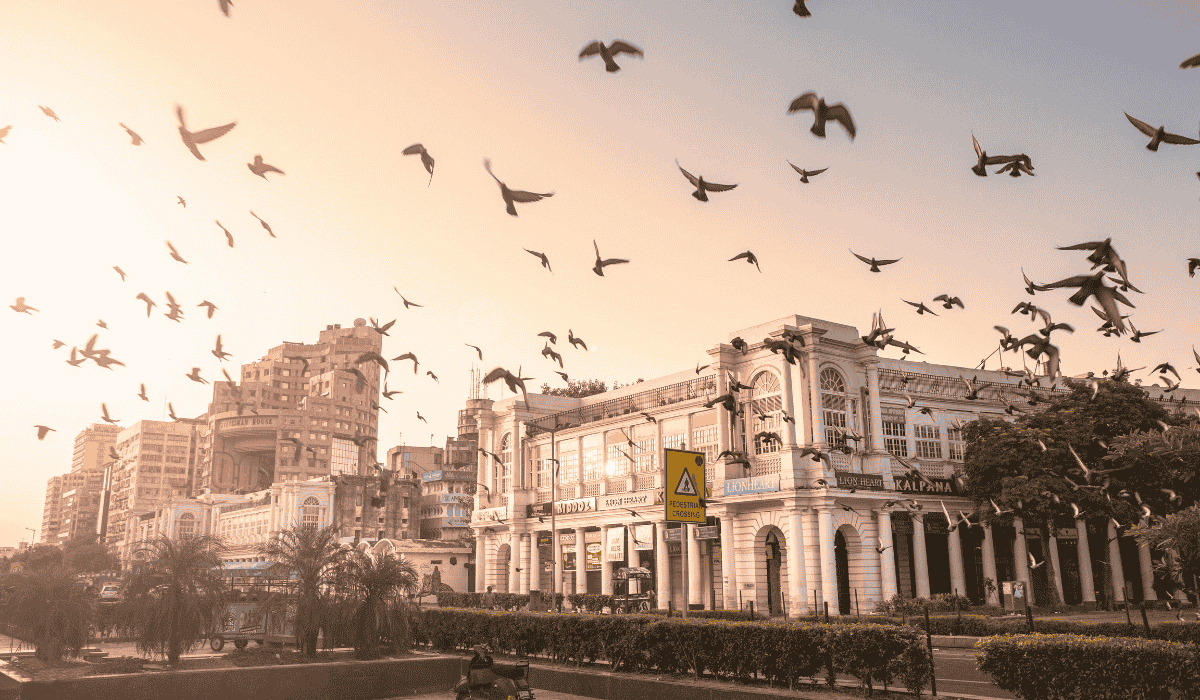 Top Adventurous Places to Visit in Delhi: Thrill, Nature, and Urban Escapes