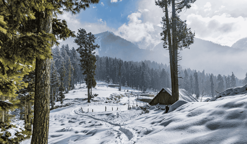 kashmir himachal pradesh