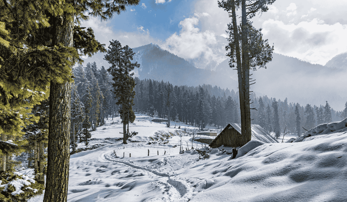 Kashmir & Himachal Pradesh: Nature, Culture, Adventure & Serenity Combined