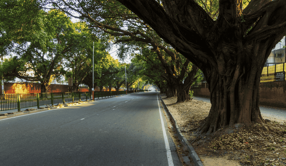 New Chandigarh: A Hub of Modern Infrastructure, Sustainable Living, Real Estate Growth, and Future Opportunities