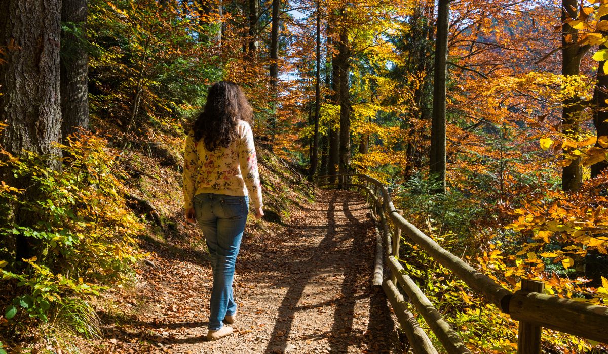 Nature Walks: Your Path to Improved Health, Mindfulness, and Serenity