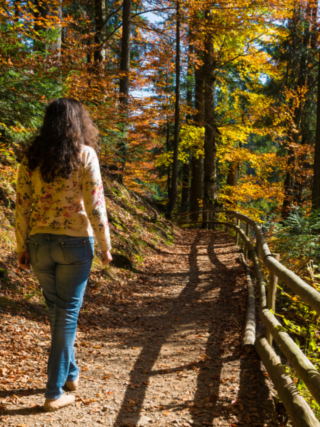 nature walks