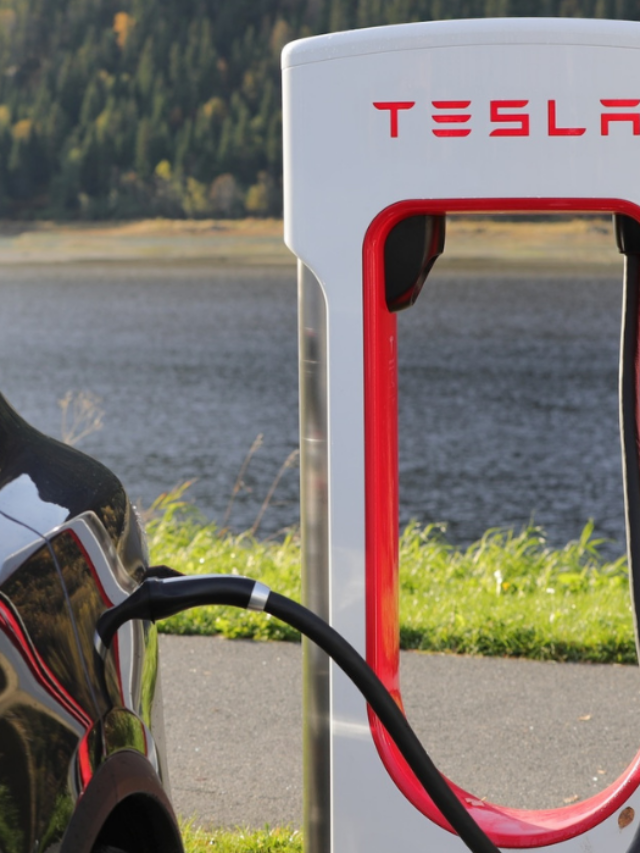Tesla In India