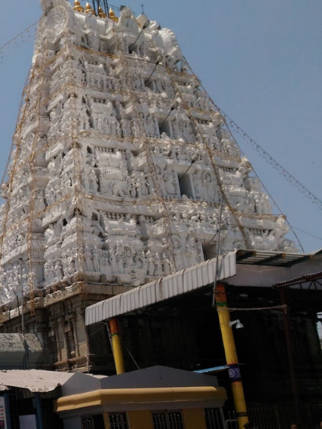 Alamelu Mangapuram Temple