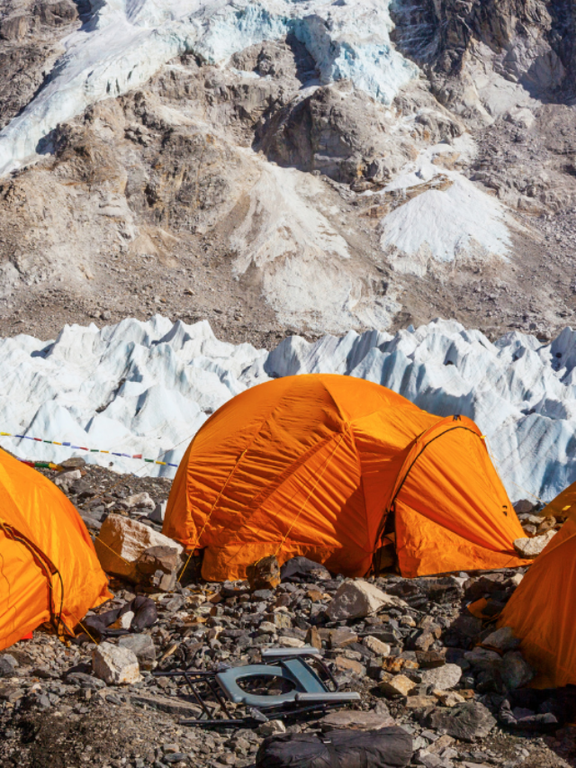 Triund Trek