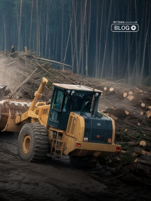 Hyderabad Forest Crisis