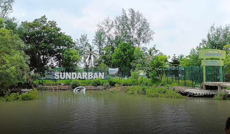 Sajnekhali Wildlife Sanctuary: Location, Timings, and Entry Details