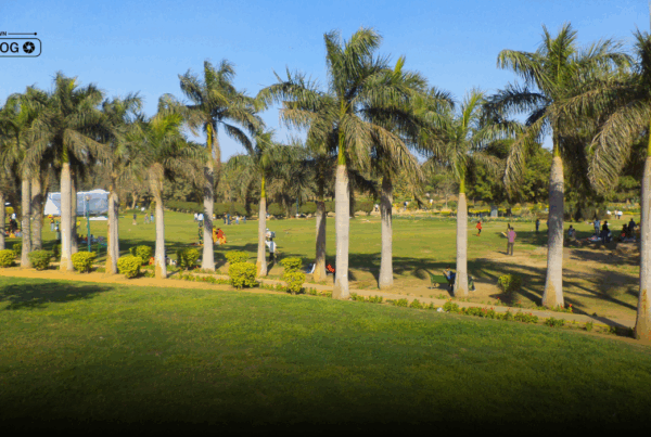 Beautiful garden in Delhi